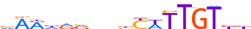 SOX8.H13CORE.0.PSM.A motif logo (SOX8 gene, SOX8_HUMAN protein)