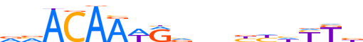 SOX8.H13CORE.0.PSM.A reverse-complement motif logo (SOX8 gene, SOX8_HUMAN protein)