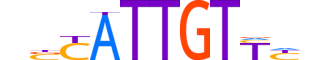 SOX8.H13CORE.1.PS.A motif logo (SOX8 gene, SOX8_HUMAN protein)