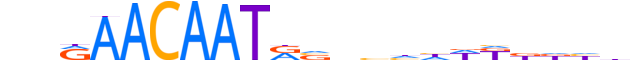 SOX9.H13CORE.0.PS.A reverse-complement motif logo (SOX9 gene, SOX9_HUMAN protein)