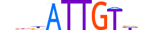 SOX9.H13CORE.1.PS.A motif logo (SOX9 gene, SOX9_HUMAN protein)