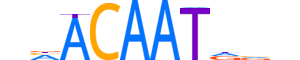 SOX9.H13CORE.1.PS.A reverse-complement motif logo (SOX9 gene, SOX9_HUMAN protein)