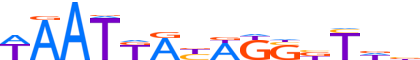 SP7.H13CORE.0.P.B motif logo (SP7 gene, SP7_HUMAN protein)