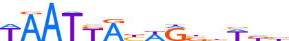 SP9.H13CORE.0.P.B motif logo (SP9 gene, SP9_HUMAN protein)