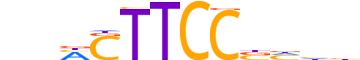 SPI1.H13CORE.1.S.B reverse-complement motif logo (SPI1 gene, SPI1_HUMAN protein)