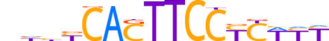 SPIB.H13CORE.0.P.B reverse-complement motif logo (SPIB gene, SPIB_HUMAN protein)