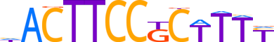 SPIB.H13CORE.1.S.C reverse-complement motif logo (SPIB gene, SPIB_HUMAN protein)
