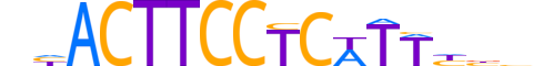 SPIB.H13CORE.2.SM.B reverse-complement motif logo (SPIB gene, SPIB_HUMAN protein)