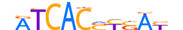 SRBP2.H13CORE.2.M.C reverse-complement motif logo (SREBF2 gene, SRBP2_HUMAN protein)