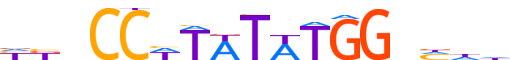 SRF.H13CORE.0.PSM.A motif logo (SRF gene, SRF_HUMAN protein)