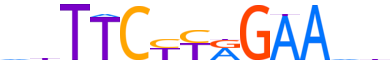 STA5B.H13CORE.0.P.B motif logo (STAT5B gene, STA5B_HUMAN protein)