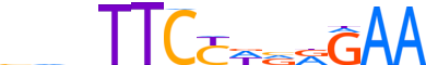 STAT6.H13CORE.0.P.B reverse-complement motif logo (STAT6 gene, STAT6_HUMAN protein)