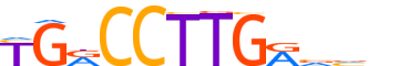 STF1.H13CORE.0.PSM.A reverse-complement motif logo (NR5A1 gene, STF1_HUMAN protein)