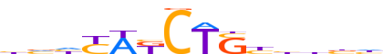 TAL1.H13CORE.1.P.B reverse-complement motif logo (TAL1 gene, TAL1_HUMAN protein)