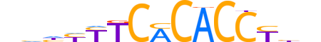 TBX1.H13CORE.0.S.B reverse-complement motif logo (TBX1 gene, TBX1_HUMAN protein)