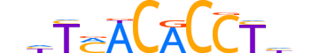 TBX18.H13CORE.0.M.C reverse-complement motif logo (TBX18 gene, TBX18_HUMAN protein)