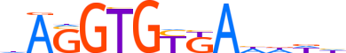 TBX19.H13CORE.1.SM.B motif logo (TBX19 gene, TBX19_HUMAN protein)