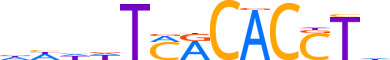 TBX19.H13CORE.1.SM.B reverse-complement motif logo (TBX19 gene, TBX19_HUMAN protein)