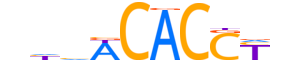 TBX2.H13CORE.0.SM.B reverse-complement motif logo (TBX2 gene, TBX2_HUMAN protein)