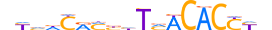 TBX20.H13CORE.2.SM.B reverse-complement motif logo (TBX20 gene, TBX20_HUMAN protein)