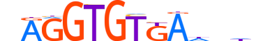 TBX21.H13CORE.0.PSM.A motif logo (TBX21 gene, TBX21_HUMAN protein)