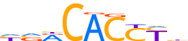 TBX5.H13CORE.0.PS.A reverse-complement motif logo (TBX5 gene, TBX5_HUMAN protein)