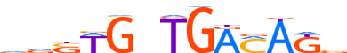 TBX5.H13CORE.1.P.B motif logo (TBX5 gene, TBX5_HUMAN protein)