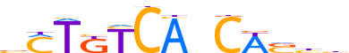 TBX5.H13CORE.1.P.B reverse-complement motif logo (TBX5 gene, TBX5_HUMAN protein)