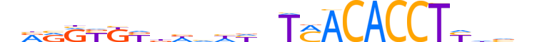 TBX5.H13CORE.2.S.B reverse-complement motif logo (TBX5 gene, TBX5_HUMAN protein)