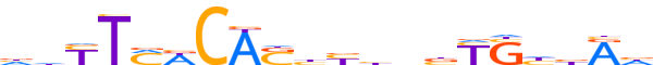 TBXT.H13CORE.0.PS.A reverse-complement motif logo (TBXT gene, TBXT_HUMAN protein)