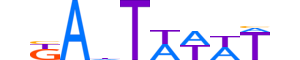 TCF20.H13CORE.0.B.B motif logo (TCF20 gene, TCF20_HUMAN protein)