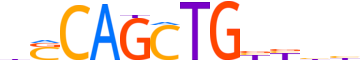 TCF21.H13CORE.0.PS.A reverse-complement motif logo (TCF21 gene, TCF21_HUMAN protein)