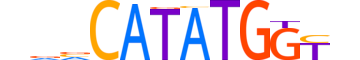 TCF21.H13CORE.1.SM.B motif logo (TCF21 gene, TCF21_HUMAN protein)