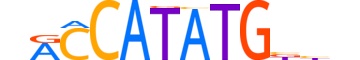 TCF21.H13CORE.1.SM.B reverse-complement motif logo (TCF21 gene, TCF21_HUMAN protein)