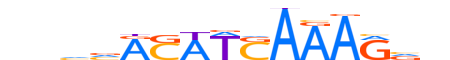 TCF7.H13CORE.0.PSM.A motif logo (TCF7 gene, TCF7_HUMAN protein)