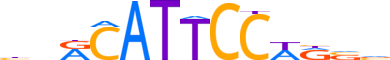 TEAD1.H13CORE.0.PSM.A motif logo (TEAD1 gene, TEAD1_HUMAN protein)