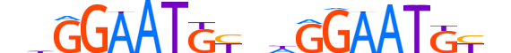 TEAD1.H13CORE.2.S.C reverse-complement motif logo (TEAD1 gene, TEAD1_HUMAN protein)