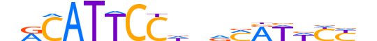 TEAD3.H13CORE.1.S.B motif logo (TEAD3 gene, TEAD3_HUMAN protein)