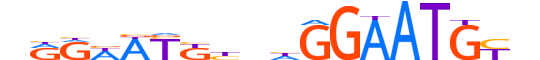 TEAD3.H13CORE.1.S.B reverse-complement motif logo (TEAD3 gene, TEAD3_HUMAN protein)