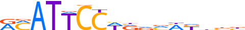 TEAD4.H13CORE.1.P.B motif logo (TEAD4 gene, TEAD4_HUMAN protein)