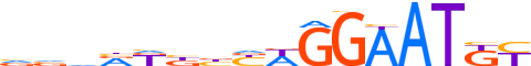 TEAD4.H13CORE.1.P.B reverse-complement motif logo (TEAD4 gene, TEAD4_HUMAN protein)