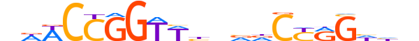 TF2L1.H13CORE.0.PSM.A reverse-complement motif logo (TFCP2L1 gene, TF2L1_HUMAN protein)