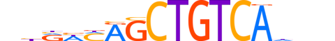 TF2LX.H13CORE.1.SM.B reverse-complement motif logo (TGIF2LX gene, TF2LX_HUMAN protein)