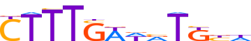 TF7L1.H13CORE.1.P.C motif logo (TCF7L1 gene, TF7L1_HUMAN protein)