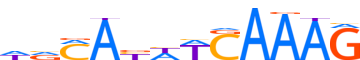 TF7L1.H13CORE.1.P.C reverse-complement motif logo (TCF7L1 gene, TF7L1_HUMAN protein)