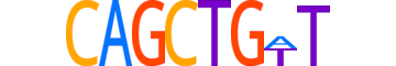 TFAP4.H13CORE.0.PSM.A motif logo (TFAP4 gene, TFAP4_HUMAN protein)