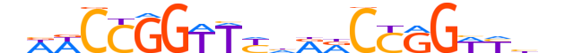 TFCP2.H13CORE.1.SM.B reverse-complement motif logo (TFCP2 gene, TFCP2_HUMAN protein)