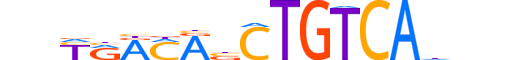 TGIF1.H13CORE.1.S.B reverse-complement motif logo (TGIF1 gene, TGIF1_HUMAN protein)