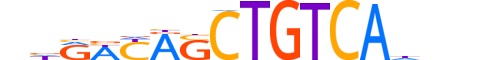 TGIF2.H13CORE.0.S.B reverse-complement motif logo (TGIF2 gene, TGIF2_HUMAN protein)