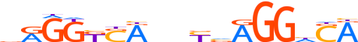 THA.H13CORE.0.P.B motif logo (THRA gene, THA_HUMAN protein)